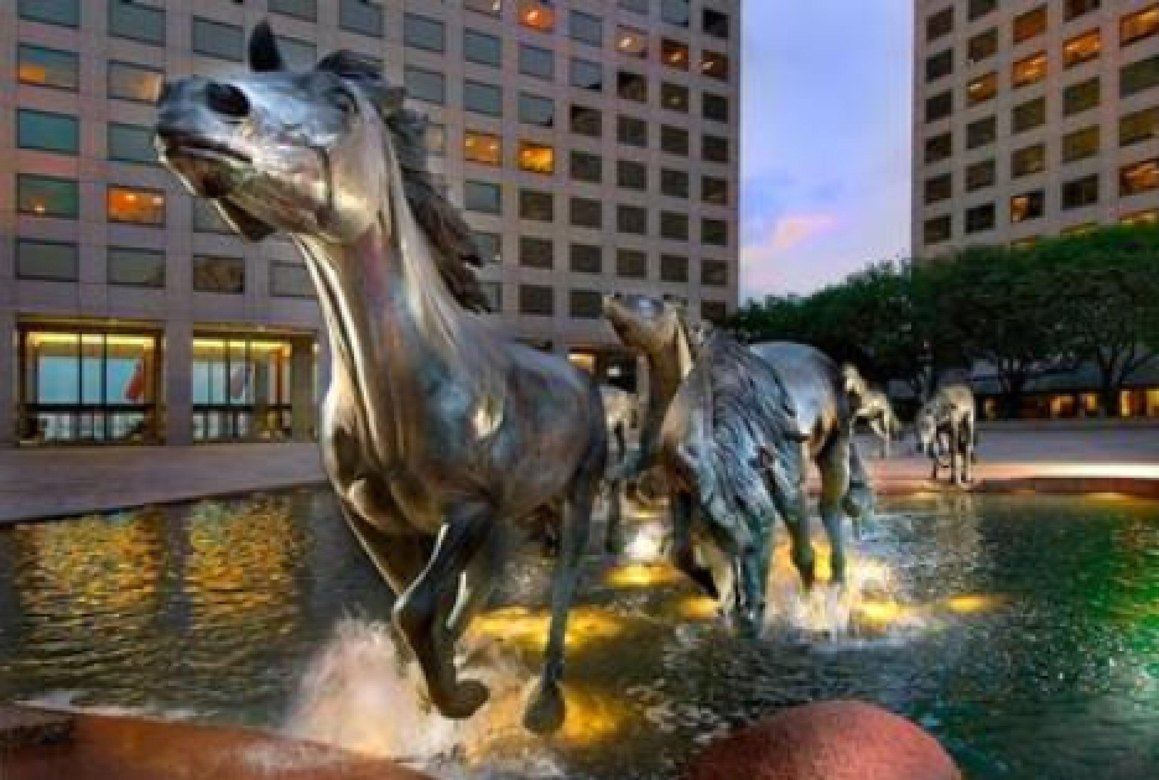 Sonesta Simply Suites Dallas Las Colinas Irving Esterno foto